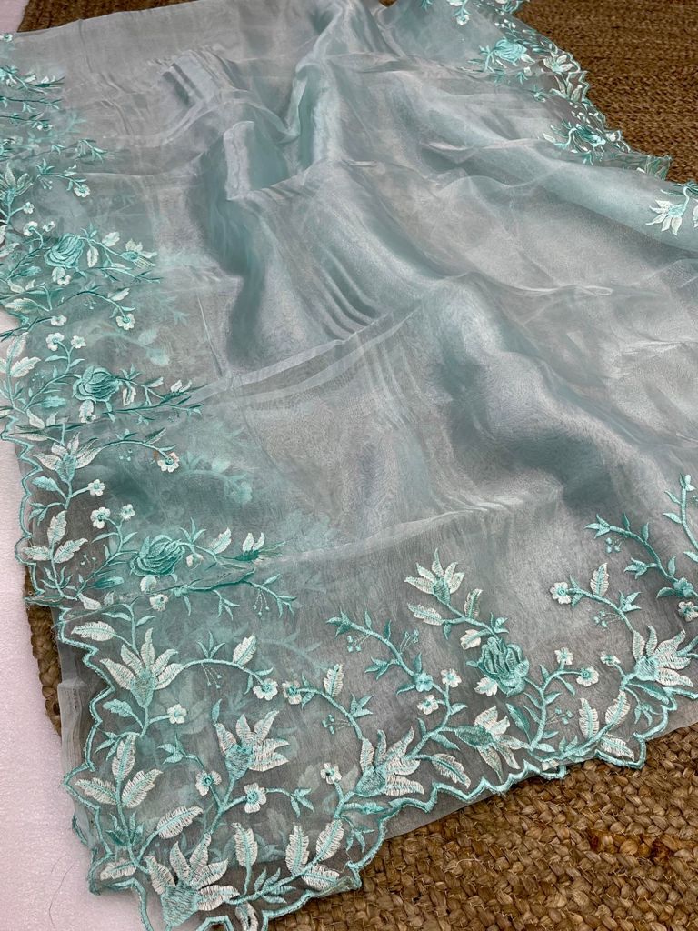 CARMINE-Organza saree