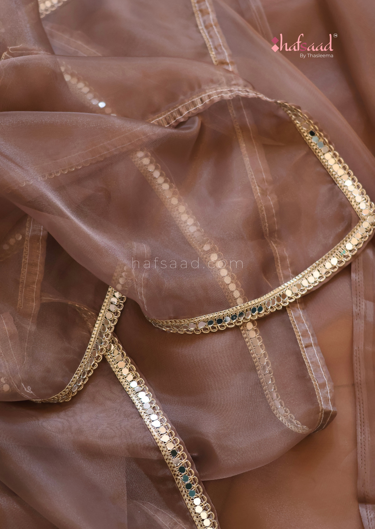 Haseen- organza mirrorwork saree (Hazelnut)