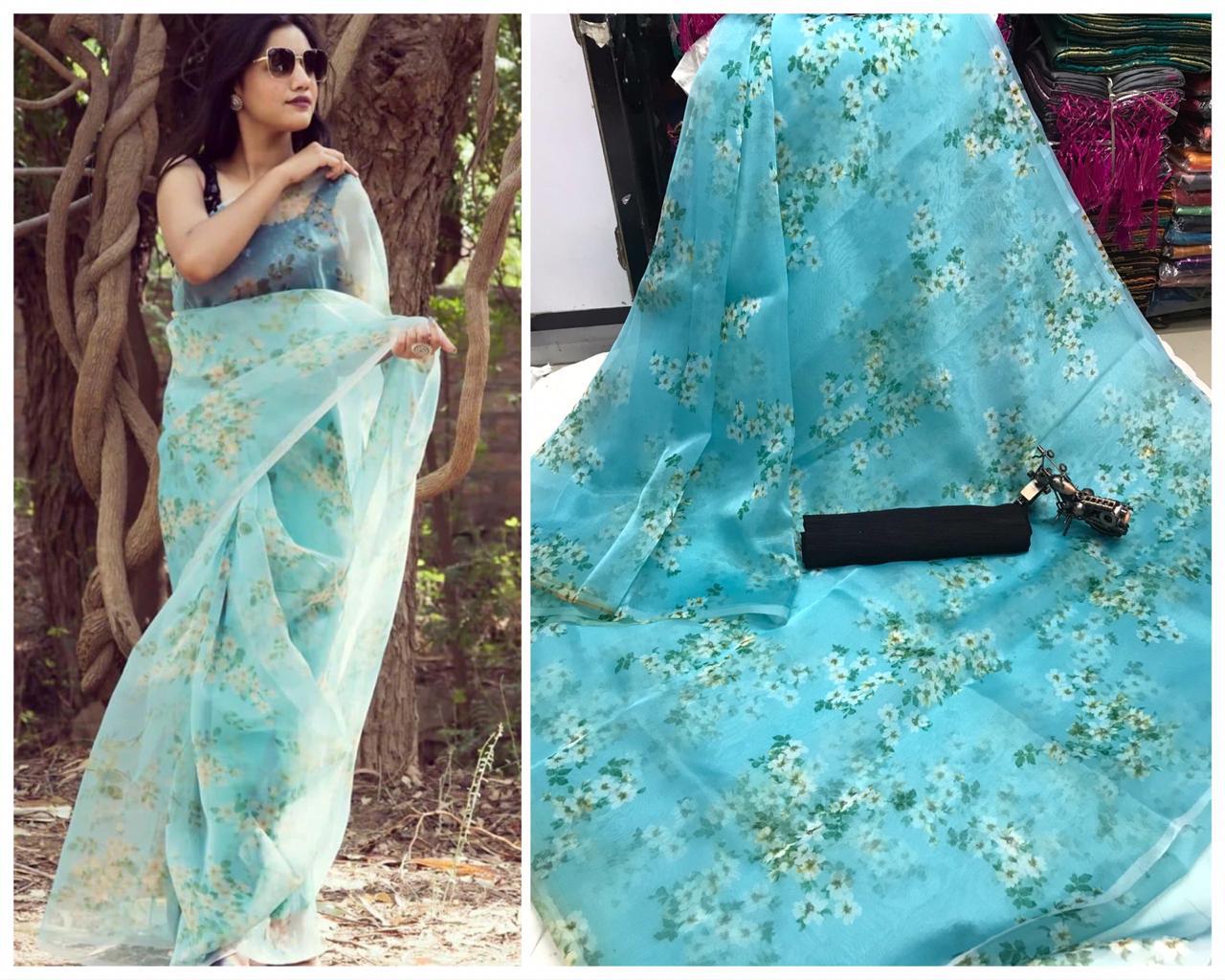 Paro Nair- Digital Organza saree