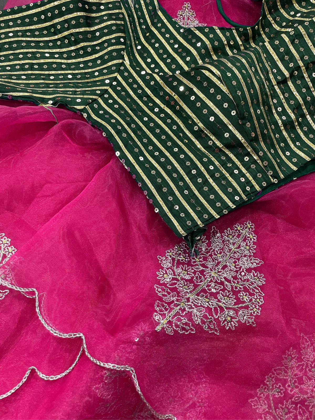 Renu- organza saree