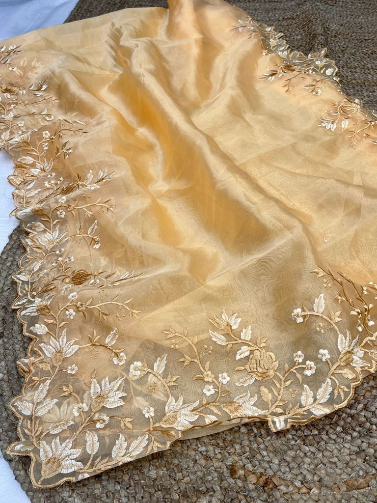 CARMINE-Organza saree